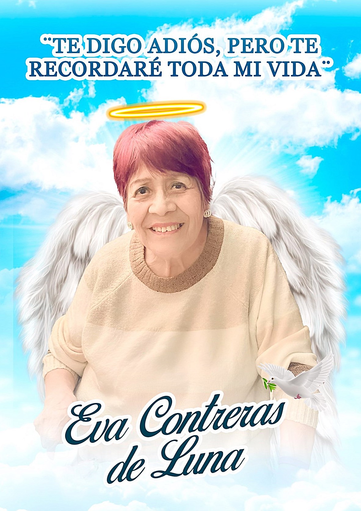 Ann Lloyd Obituary